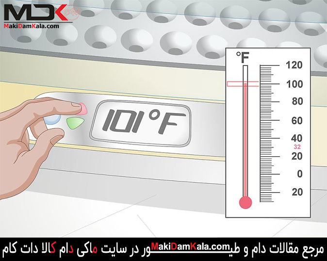 جهت استفاده از دستگاه جوجه کشی دمای دستگاه جوجه کشی را تنظیم کنید