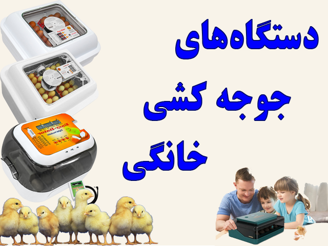دستگاه های جوجه کشی خانگی