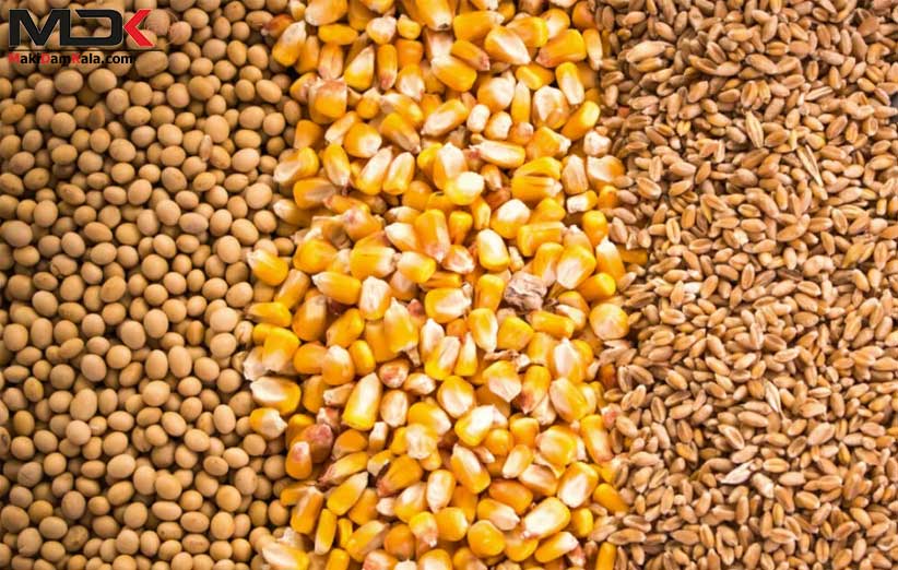 ابلاغ سهمیه دو ماهه ذرت و کنجاله سویا به واحدهای پرورش طیور 1 ابلاغ سهمیه دو ماهه ذرت و کنجاله سویا به واحدهای پرورش طیور