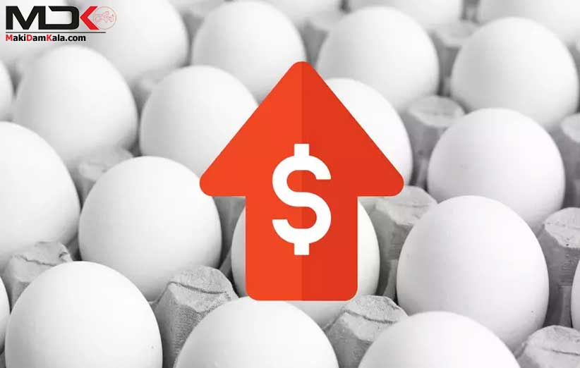 افزایش نرخ تخم‌مرغ؛ قیمت هر کیلو درب مرغداری به ۶۱ هزار تومان رسید