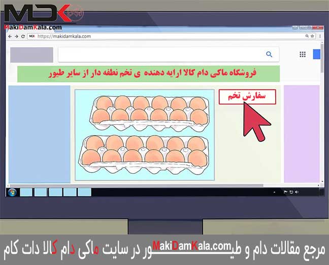به صورت اینترنتی اقدام به تهیّه‌ی تخم مرغ‌های نطفه دار نمایید