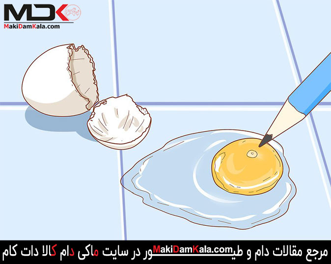 چگونگی تشخیص نطفه دار بودن تخم 4 تشخیص نطفه دار بودن تخم بعد از شکستن