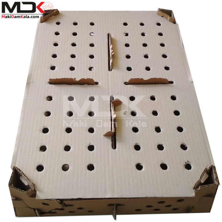 کارتن حمل جوجه یک روزه