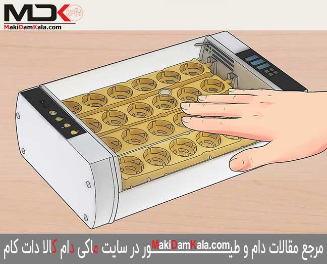 دستگاه جوجه کشی را تهیّه کنید که فضای داخلی آن از بیرون قابل رویت است