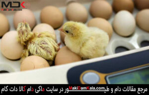 راهنمای استفاده از دستگاه جوجه کشی