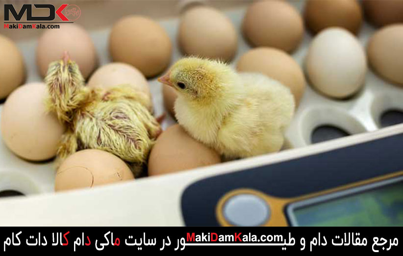 راهنمای استفاده از دستگاه جوجه کشی