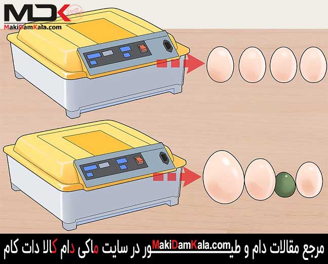 راهنمای خرید بهترین دستگاه جوجه کشی