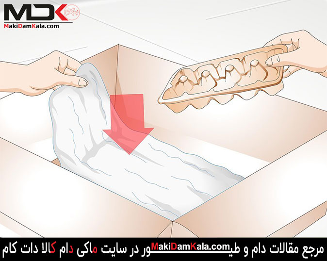 مقداری کاغذ کاهی را در زیر محلّ تولّد جوجه ها قرار دهید