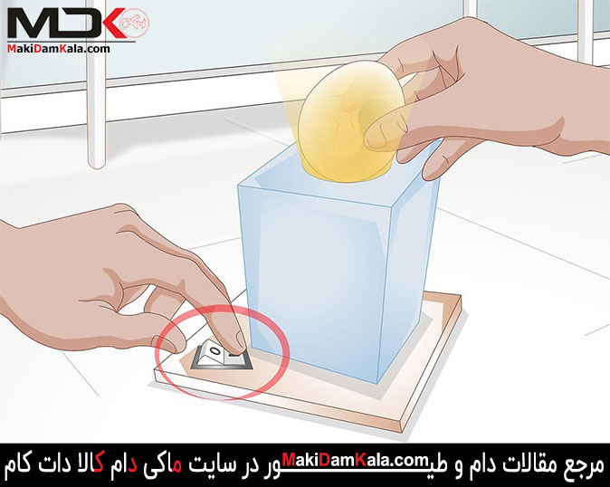 نطفه بینی