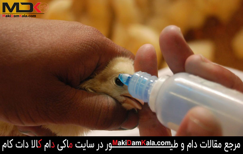 واکسیناسیون علیه بیماری نیوکاسل