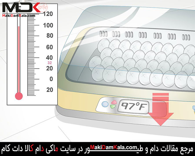 کاهش دمای دستگاه جوجه کشی پس از قرار دادن تخم مرغ ها
